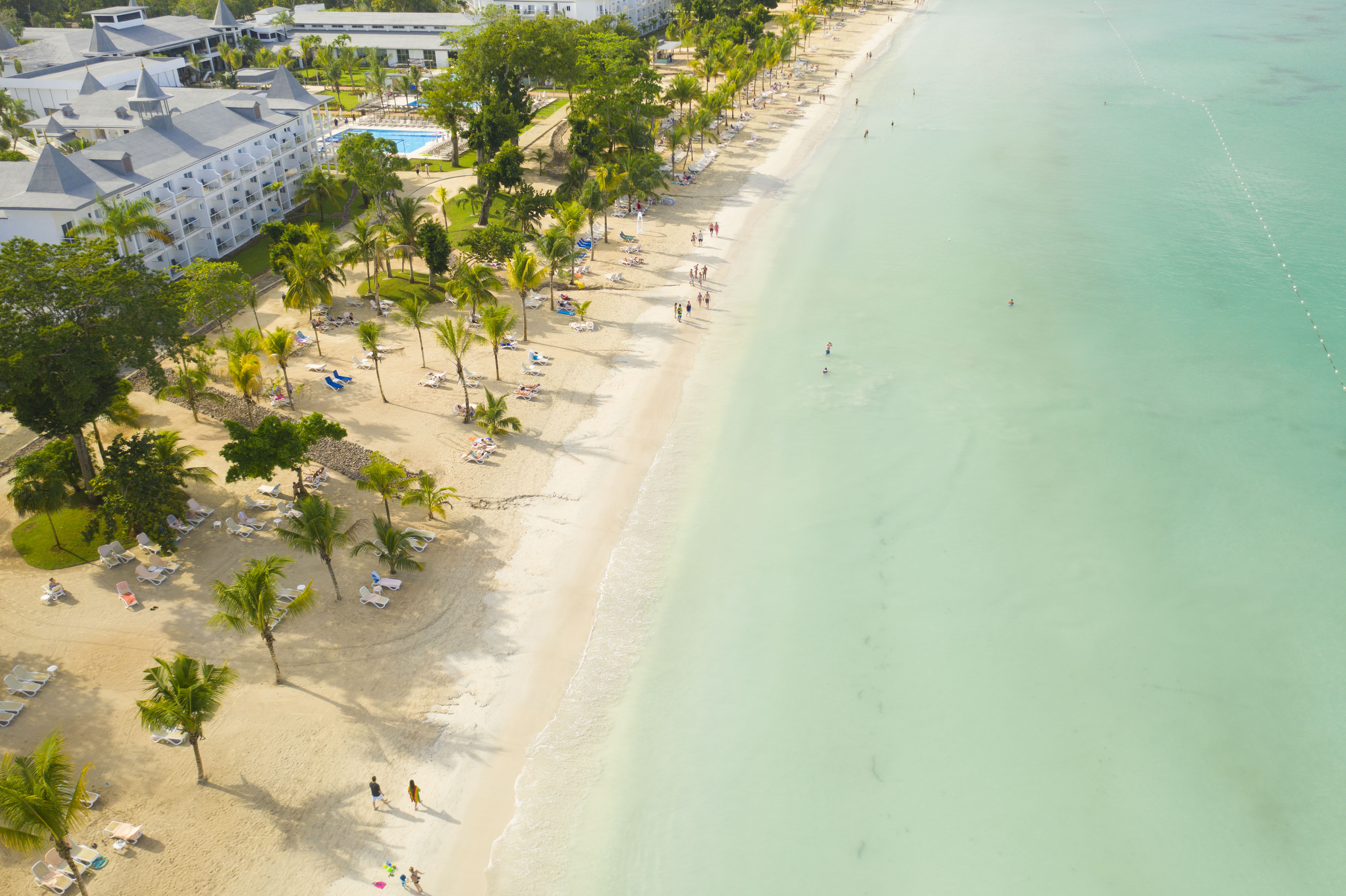 JAMAICA BEACH BUMS